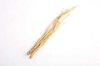 初三作文：瞻仰身边习俗精彩（关于瞻仰的意思）