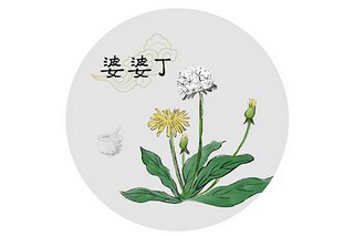 菩提树的诗句的解析_菩提树名句