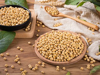 形容女人美貌的经典诗句_形容女人美貌的经典诗句