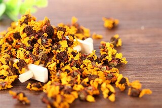 春的足迹小学生写景作文（春天的足迹小学生作文）