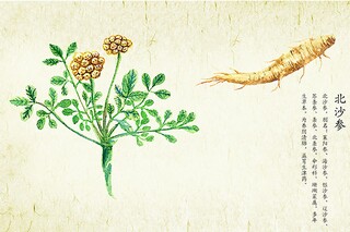 最新母亲节走心文案（母亲节走心文案已上线,哪一条打动了你_）
