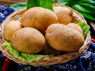 我最好的朋友英语作文