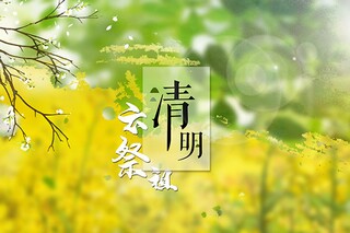 王安石赞颂梅花的诗句（王安石关于梅花诗）