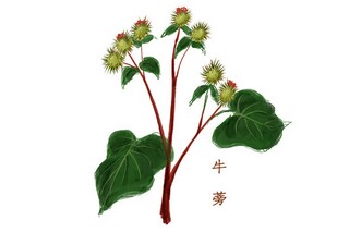 小公司的财务管理制度_小公司财务管理制度最新范本
