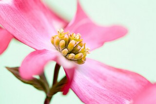 励志内涵美文（励志有内涵）