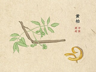 祝福春节拜年祝福语（春节拜年祝福话语）