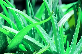 经典青春唯美句子（青春唯美句子摘抄大全）