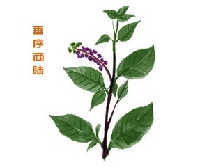 《春雨》现代文阅读答案_《春雨》的阅读答案