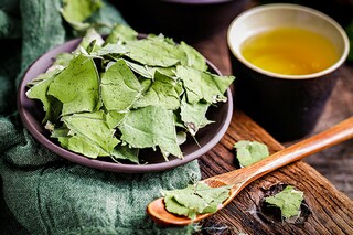 左传·哀公·哀公九年的原文及翻译（《左传·哀公六年》）