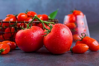 古诗改写作文_古诗改写作文300字稚子弄冰