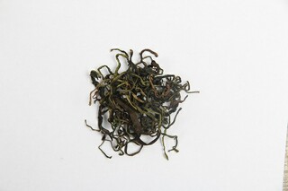 做真正的强者的励志美文_做一个强者的句子