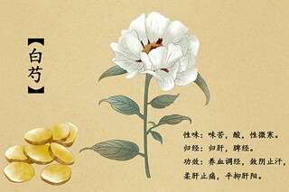 怀念毕业季文案（毕业怀念的文案催泪）