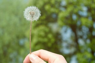 最新立春唯美经典句子（立春的唯美）