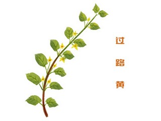 大学生消费情况的调查报告_大学生消费情况的调查报告范文