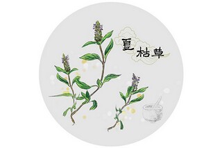 描写白玉纯洁优美的句子_描写白玉石的句子