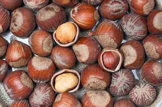 美食活动作文_美食活动作文400字