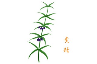 牛字的成语（牛字的成语大全四个字）