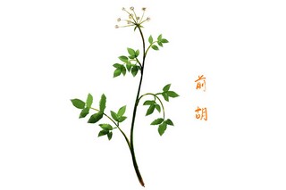 赏樱花作文（赏樱花作文400字）