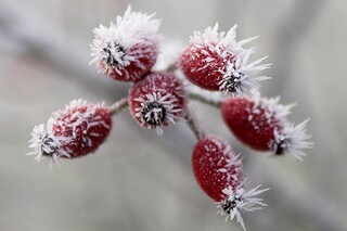 最新初一《平凡的世界》读后感（《平凡的世界》读后感600字左右初中生）