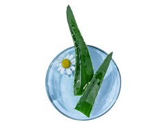 八年级上册数学教学计划_八年级上册青岛版数学教学计划