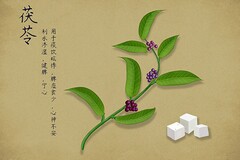 最新学前班的工作总结_学前班保育员工作总结