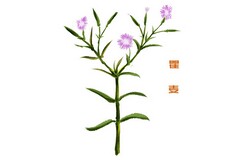 用人单位的劳动合同_用人单位的劳动合同不合理怎么办