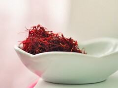 网站服务合同(网站服务搭建)