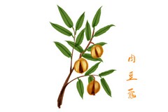 企业优秀员工主要事迹