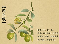 冬游趣事作文_一次有趣的冬游作文
