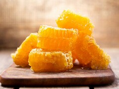 毕业生登记表自我鉴定500字大专_大专登记表自我鉴定最新