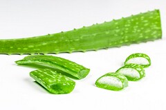 寒假假期疫情防控提示_寒假期间疫情防控应急预案