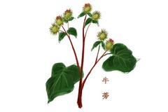 大学放假时间寒假通知_大学寒假放假时间通知了吗