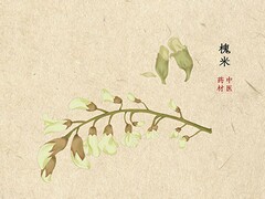 学术会议主持稿_《学术论坛》主持稿