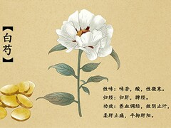 《三国演义》读后感_三国演义读后感600字左右