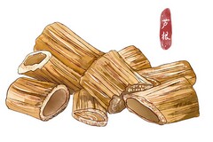 重阳节活动策划书_重阳节活动策划方案企业