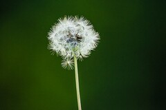 年休假通知范文_建议年休假的通知