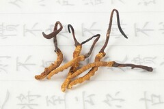 形容下雪了的诗句_下雪了想念你诗句