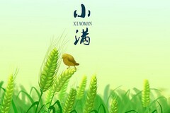 节约粮食活动总结_关于节约粮食的活动总结