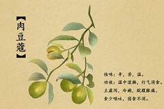 周记初中(周记初中八年级)
