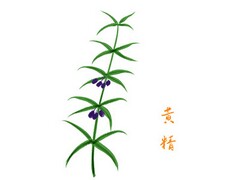 信件结束语（精选41句）(信件结束语友谊)