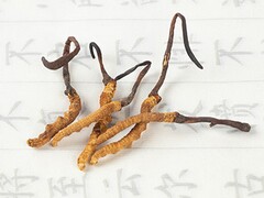 十月再见，十一月你好简短的文案(十月你好唯美文案)