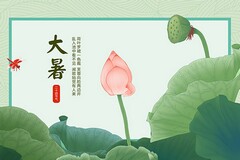 小学语文阅读教学心得体会_教师小学语文培训心得体会