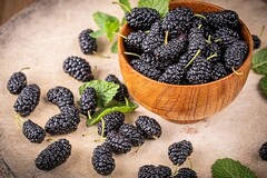 假期日记300字大全_假期日记