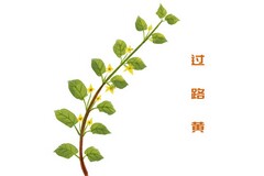大学生学习计划1000字