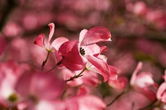 企业经理年终总结会议讲话稿(企业经理年终总结讲话)
