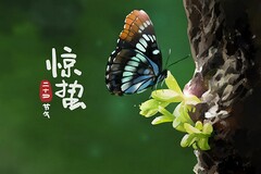 门窗采购合同_北京市门窗采购合同