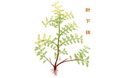学习培训心得体会_培训心得开头文案