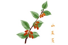 过桥资借款担保合同(过桥借款协议合同范本)