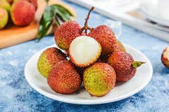 生产线合同(设备生产线工程合同)