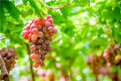 公司文员的辞职报告_公司高管辞职报告范文